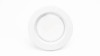 white / white baffle finish