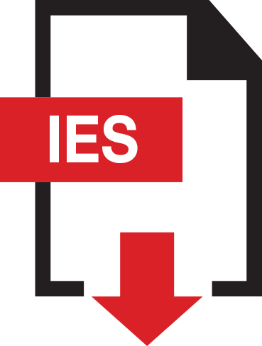 IES icon